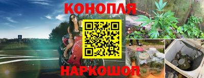 мдпв Ярославль