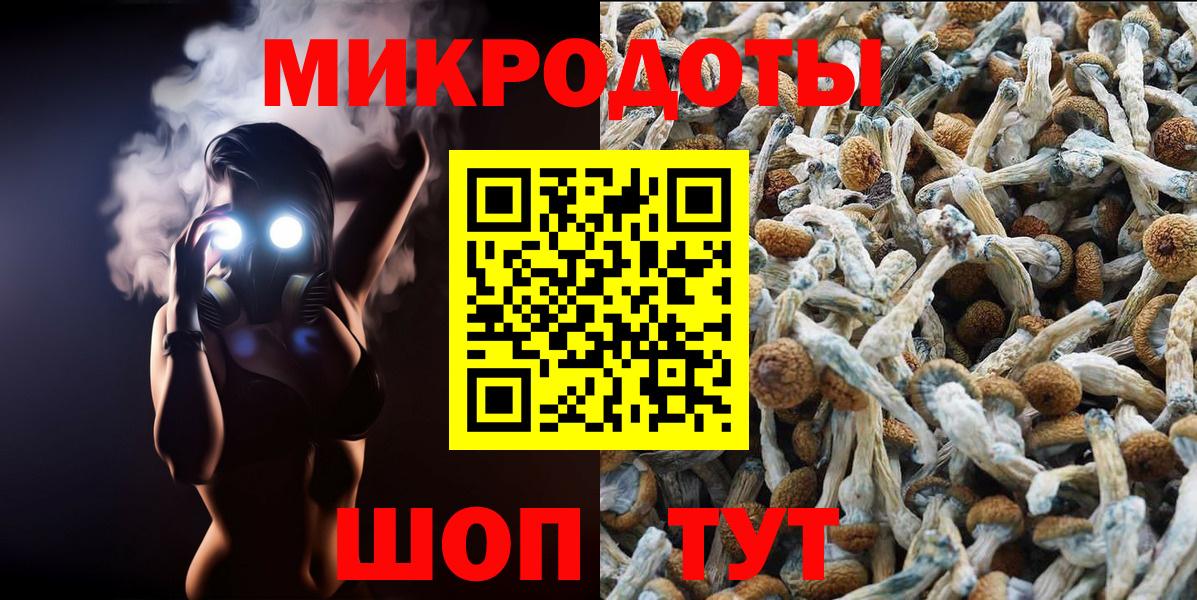 Галлюциногенные грибы Psilocybe Красный Сулин