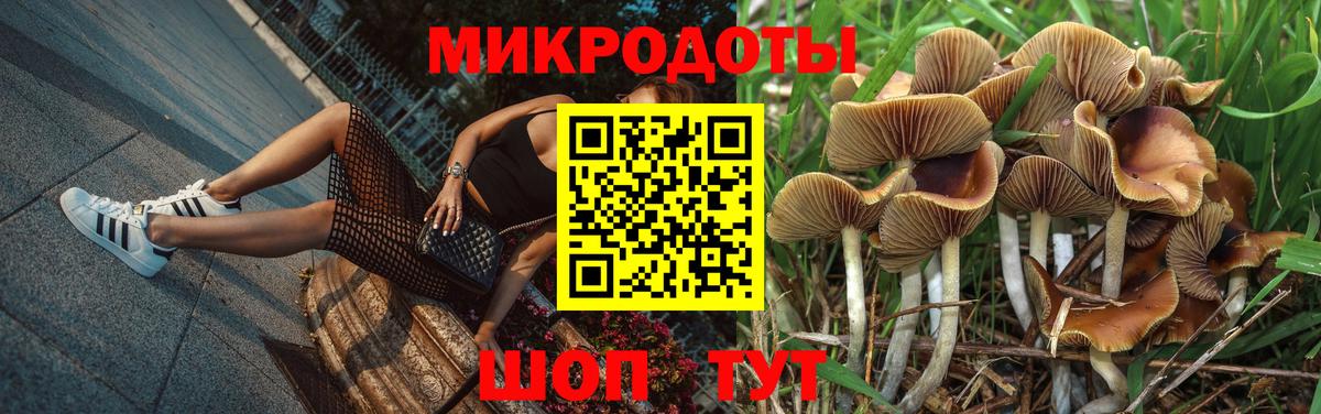 Красный Сулин  Галлюциногенные грибы мицелий  Вход с VPN 